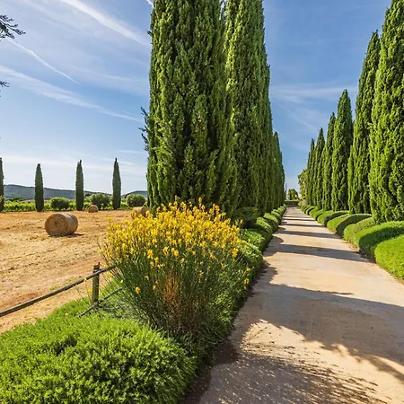 Alojamento de Turismo Rural Il Casale Degli Olivi *