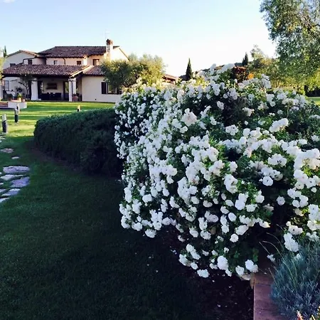 Il Casale Degli Olivi Alojamento de Turismo Rural *