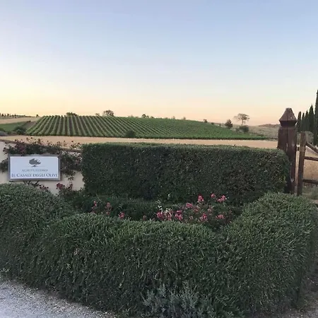 Il Casale Degli Olivi