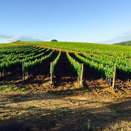Il Casale Degli Olivi Alojamento de Turismo Rural Capalbio