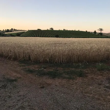 Il Casale Degli Olivi Alojamento de Turismo Rural *