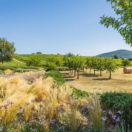 Il Casale Degli Olivi Capalbio