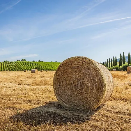Il Casale Degli Olivi Farm stay Capalbio