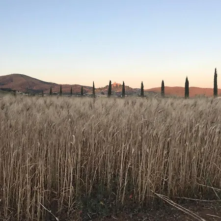 Farm stay Il Casale Degli Olivi *