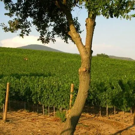 Farm stay Il Casale Degli Olivi Capalbio